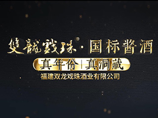 雙龍戲珠2021企業(yè)宣傳片